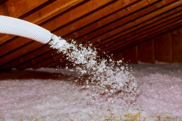 Best Specialized Insulation Services in Doa Ana, NM
