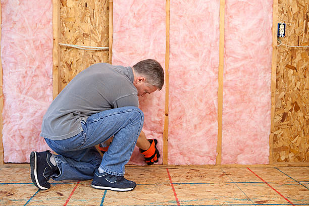 Best Cellulose Insulation in Doa Ana, NM